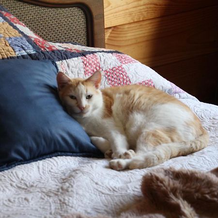 U Beauty - B & B Whangarei Bagian luar foto